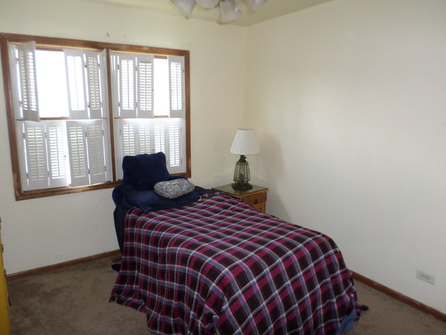 280 Eclipse Drive Carol Stream, IL 60188 - Photo 20 of 24