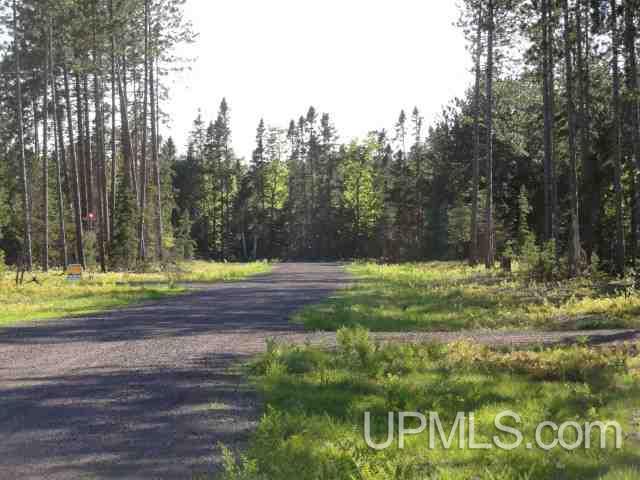 Tbd Little Rice Lk Road, Unit LOT 23 Lake Linden, MI 49945 - Photo 2 of 9