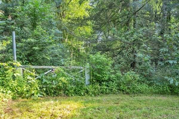 0 Auburn Road Millbury, MA 01527 - Photo 6 of 10 a view of a lush green forest