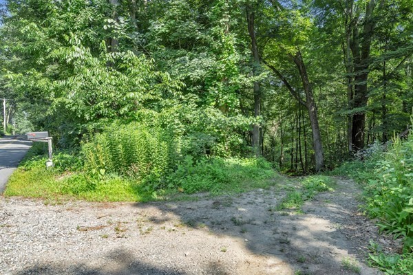 0 Auburn Road Millbury, MA 01527 - Photo 7 of 10 a view of a yard with plants and a tree