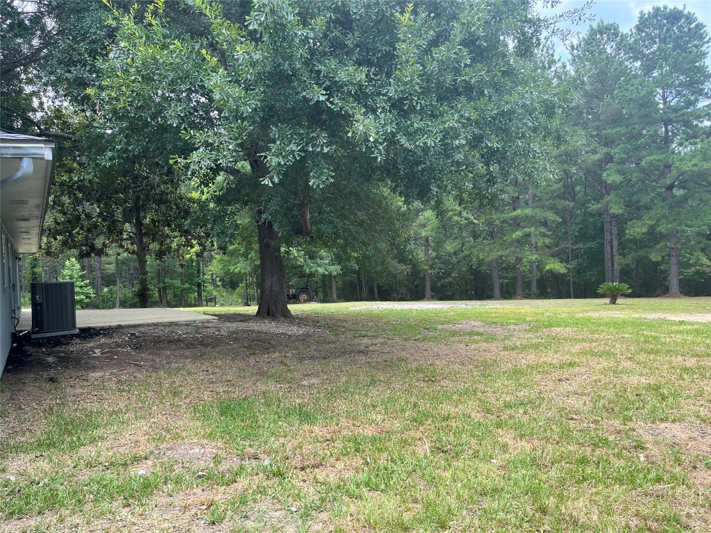 482 Rolling Livingston, TX 77351 - Photo 36 of 41 a view of a yard with a large tree