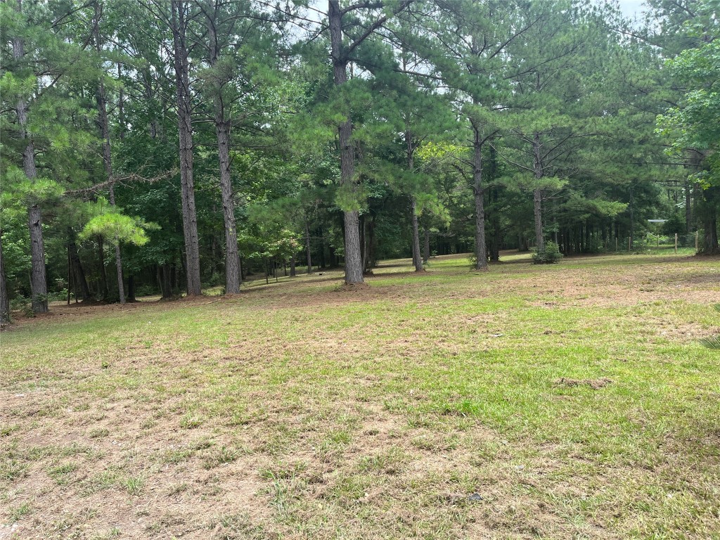 482 Rolling Livingston, TX 77351 - Photo 38 of 41 a view of outdoor space with deck and yard