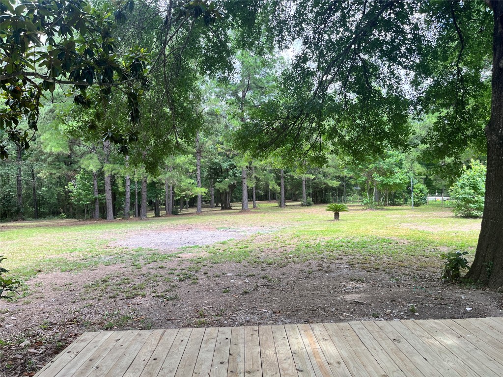 482 Rolling Livingston, TX 77351 - Photo 41 of 41 a view of a yard with a trees