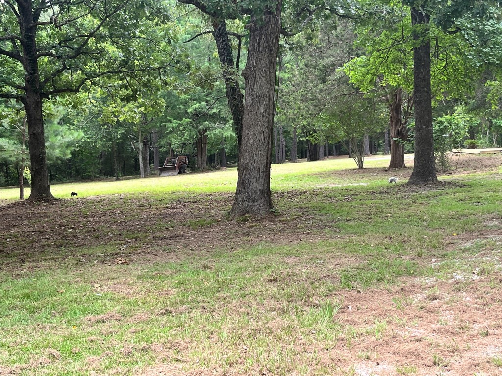 482 Rolling Livingston, TX 77351 - Photo 8 of 41 a view of outdoor space with trees all around