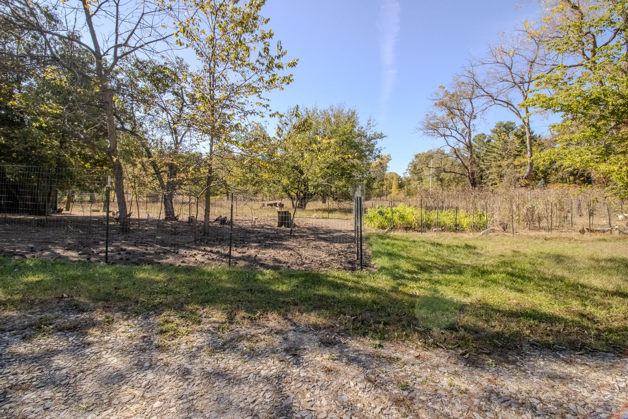 8845 East 200 South Knox, IN 46534 - Photo 18 of 24 a view of backyard with green space