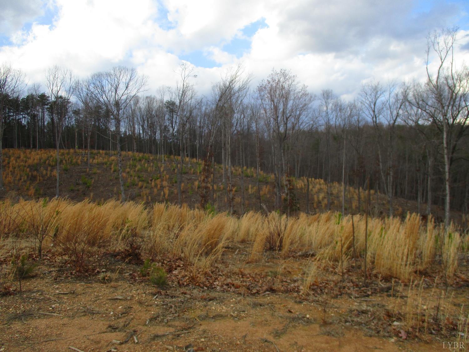 991 Kentmoor Farm Road Madison Heights, VA 24572 - Photo 11 of 17