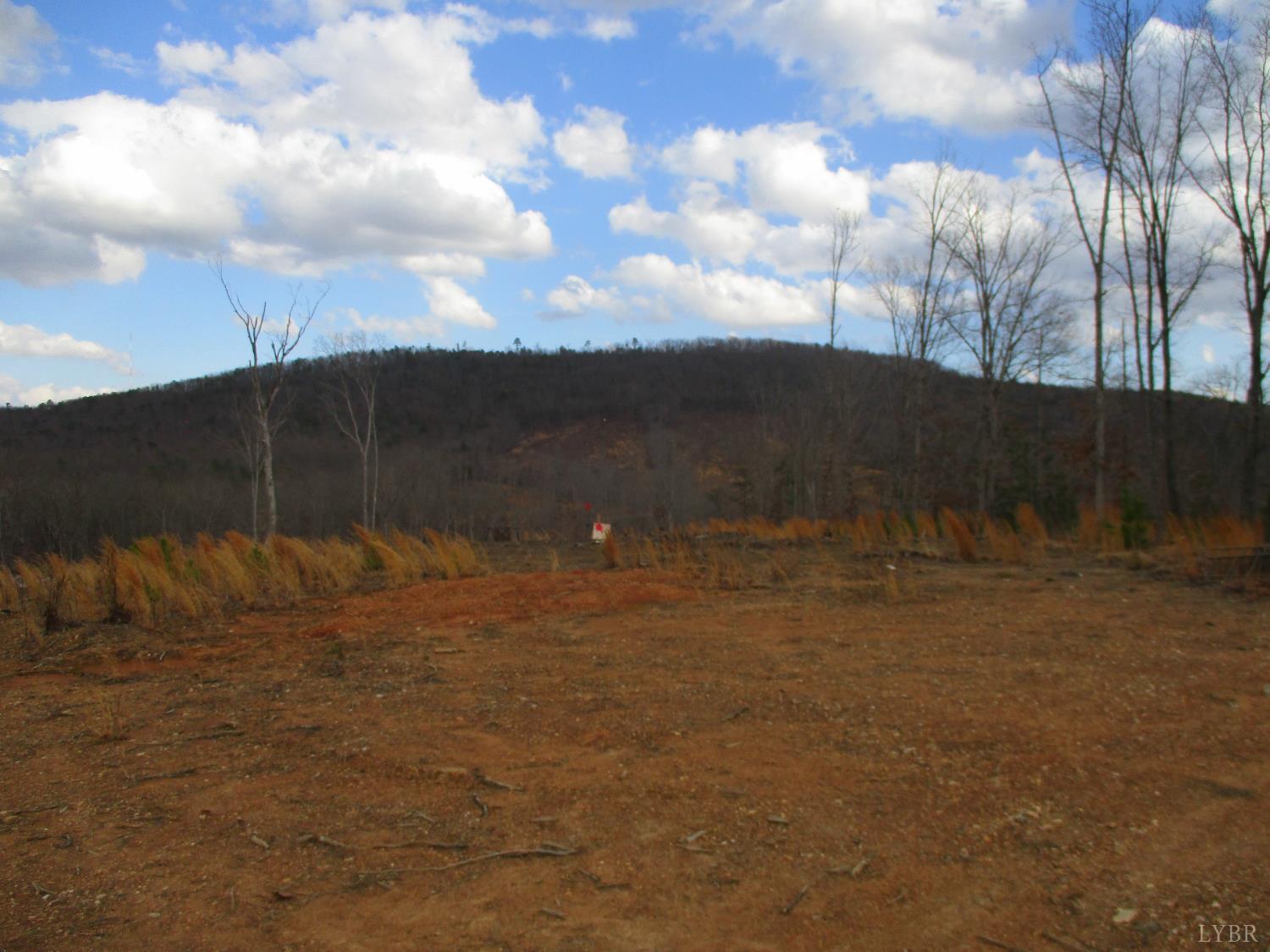 991 Kentmoor Farm Road Madison Heights, VA 24572 - Photo 12 of 17 a view of a backyard