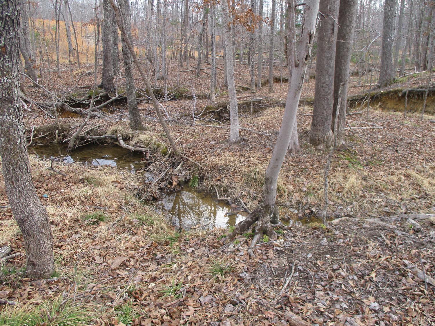 991 Kentmoor Farm Road Madison Heights, VA 24572 - Photo 13 of 17 a view of a backyard of the house