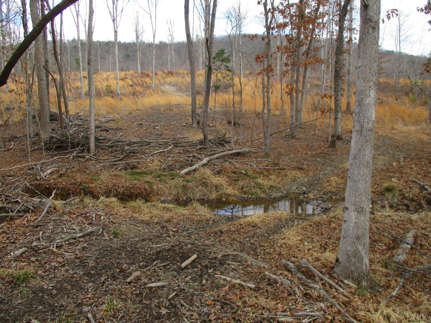 991 Kentmoor Farm Road Madison Heights, VA 24572 - Photo 14 of 17 a view of a lake view