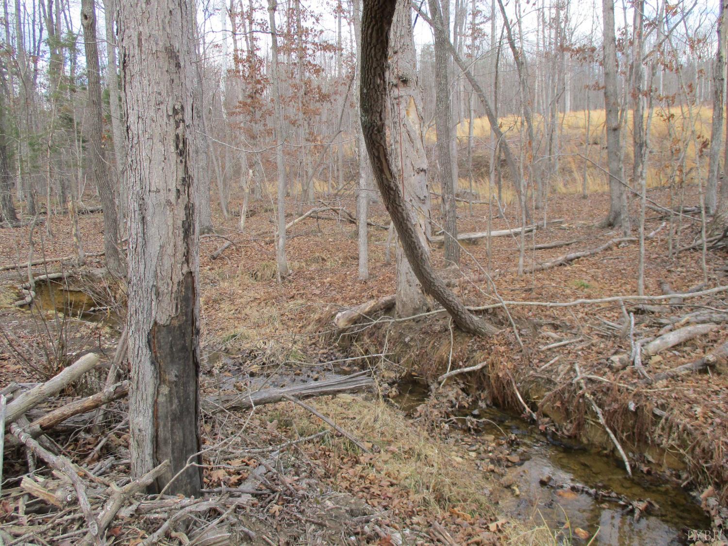 991 Kentmoor Farm Road Madison Heights, VA 24572 - Photo 15 of 17 a bathroom with a shower
