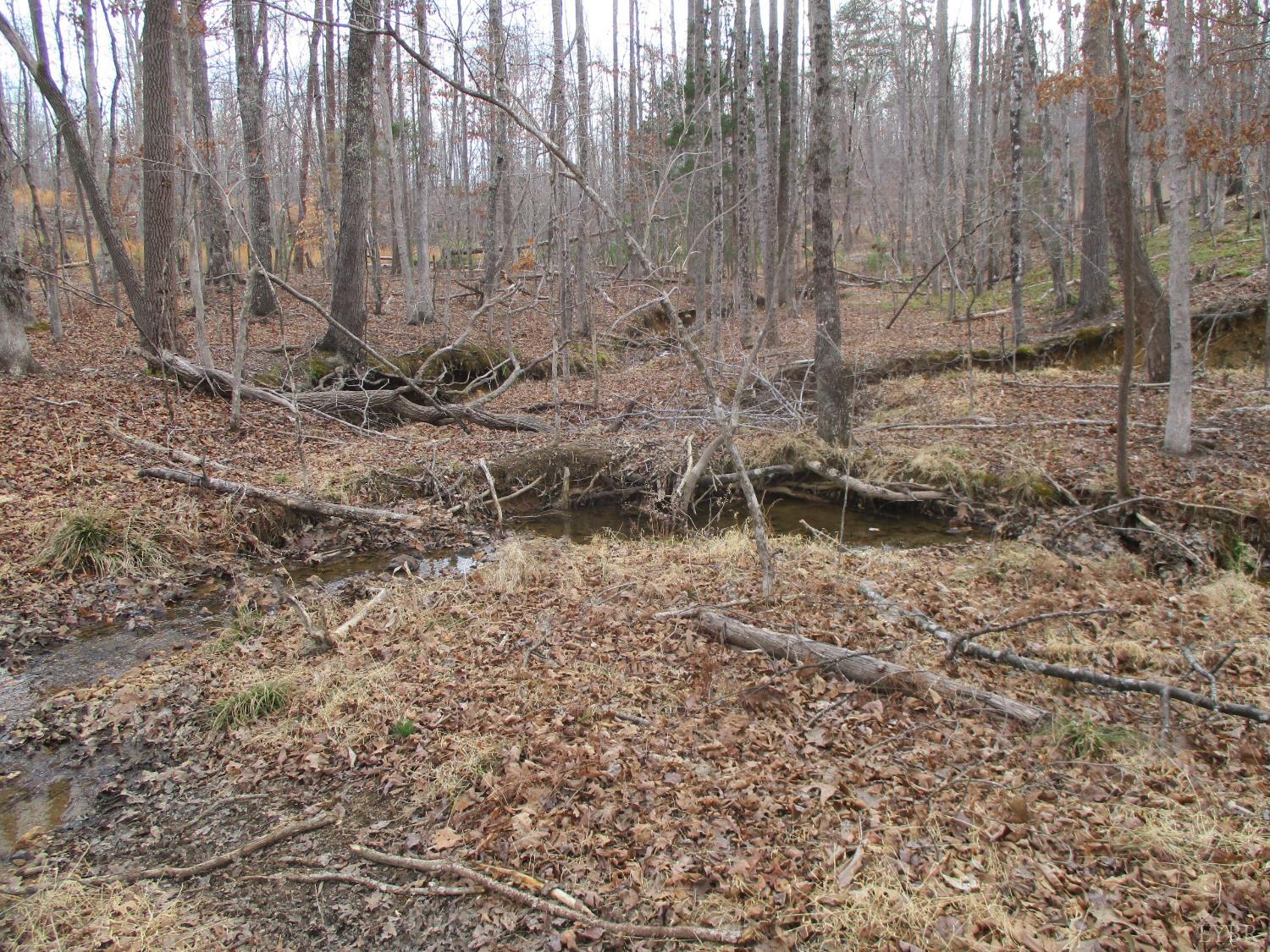 991 Kentmoor Farm Road Madison Heights, VA 24572 - Photo 16 of 17 a view of a backyard of the house