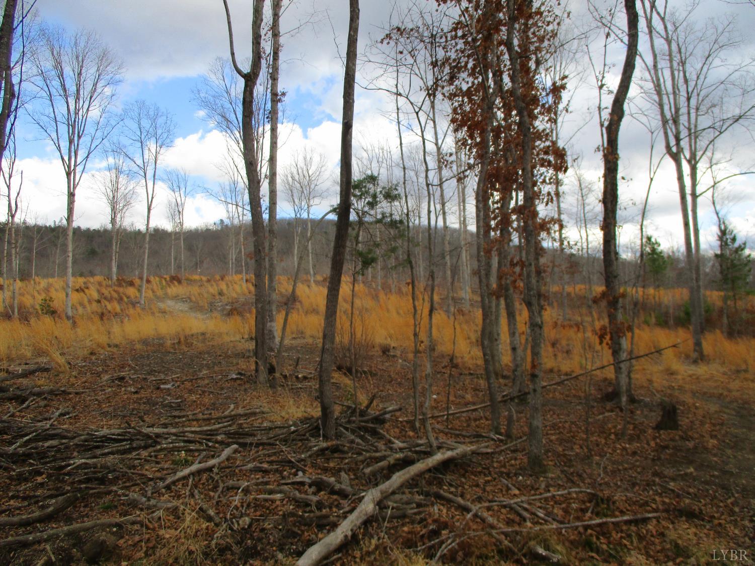 991 Kentmoor Farm Road Madison Heights, VA 24572 - Photo 17 of 17 a view of a backyard of the house
