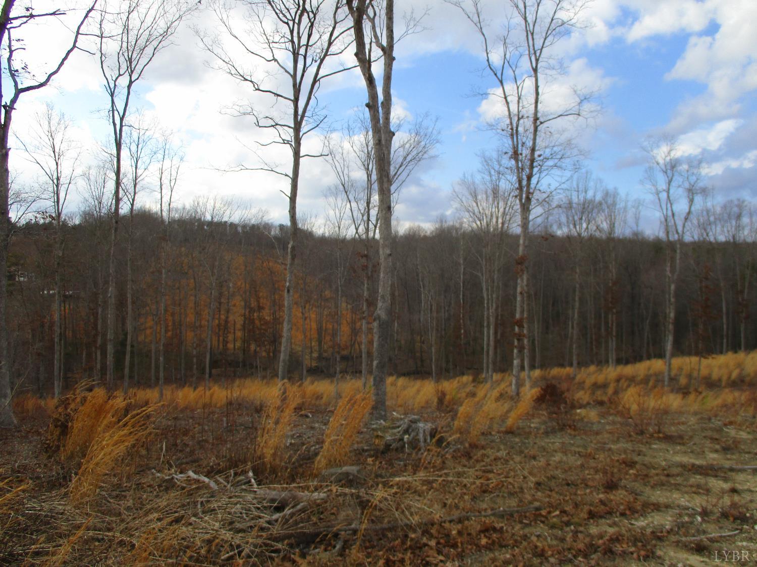 991 Kentmoor Farm Road Madison Heights, VA 24572 - Photo 2 of 17 a backyard of a house with lots of green space