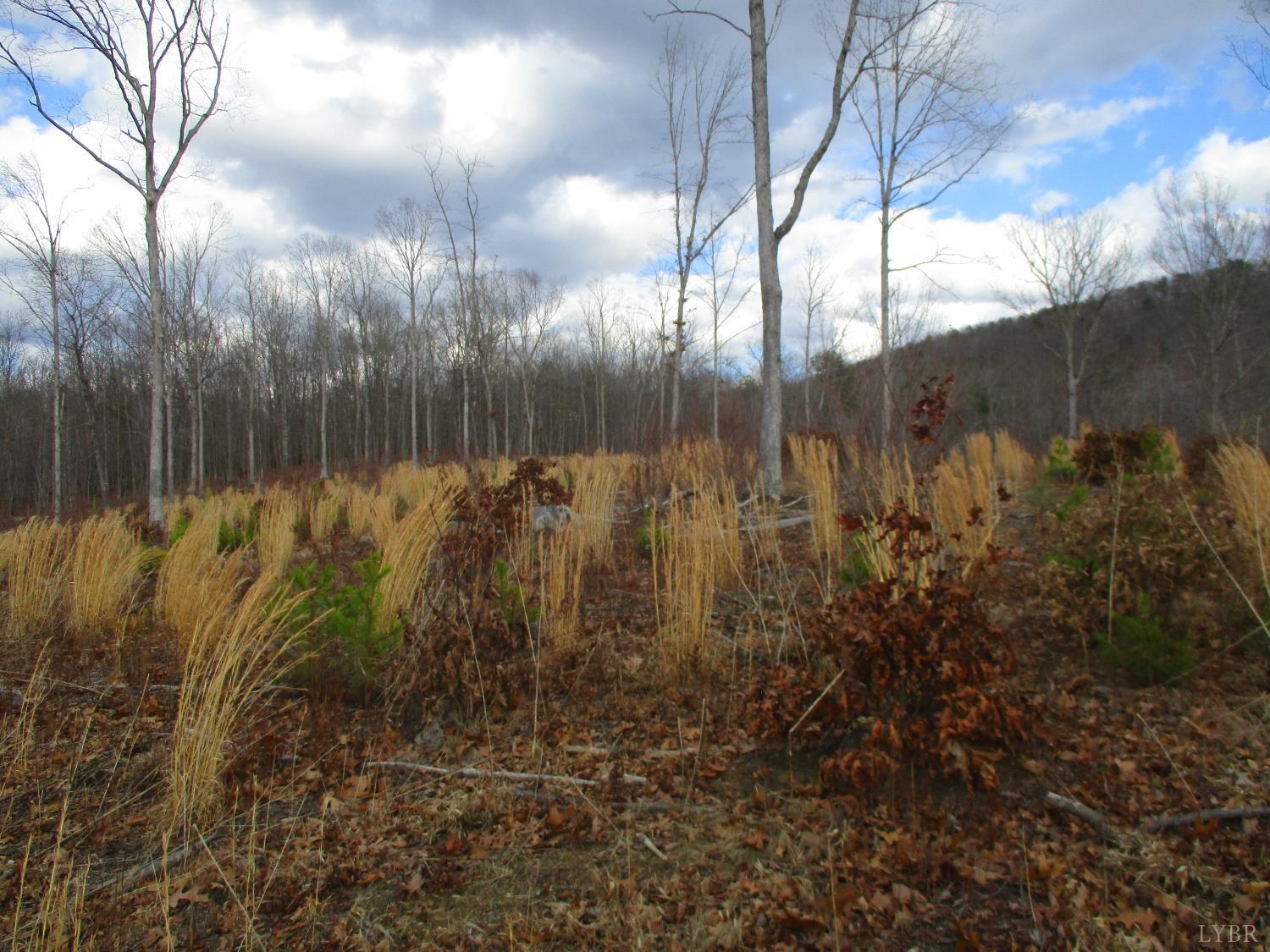 991 Kentmoor Farm Road Madison Heights, VA 24572 - Photo 3 of 17 a view of a yard