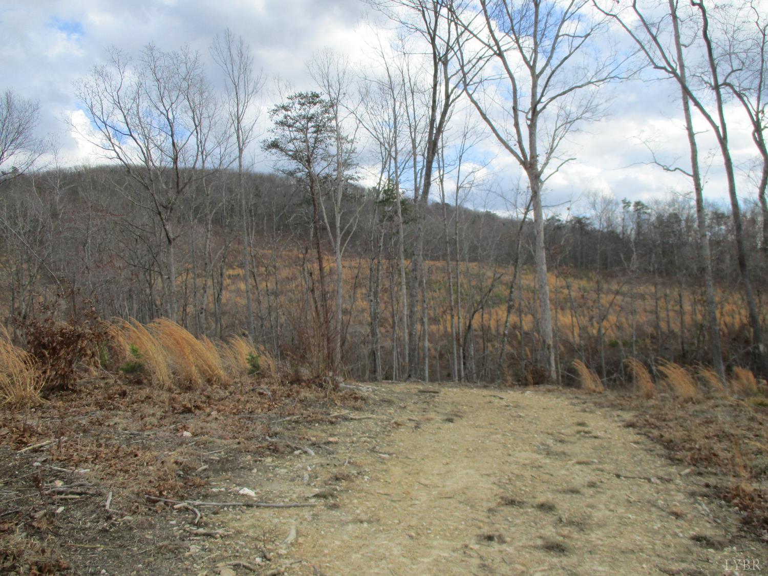 991 Kentmoor Farm Road Madison Heights, VA 24572 - Photo 4 of 17 a view of outdoor space and parking space