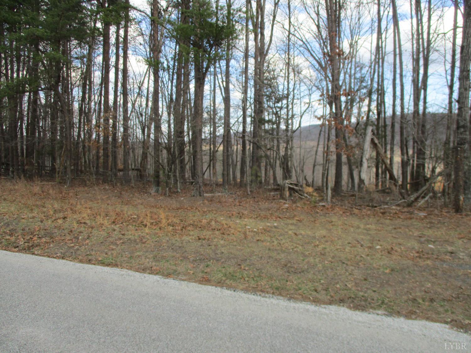 991 Kentmoor Farm Road Madison Heights, VA 24572 - Photo 6 of 17 a view of outdoor space with lots of trees