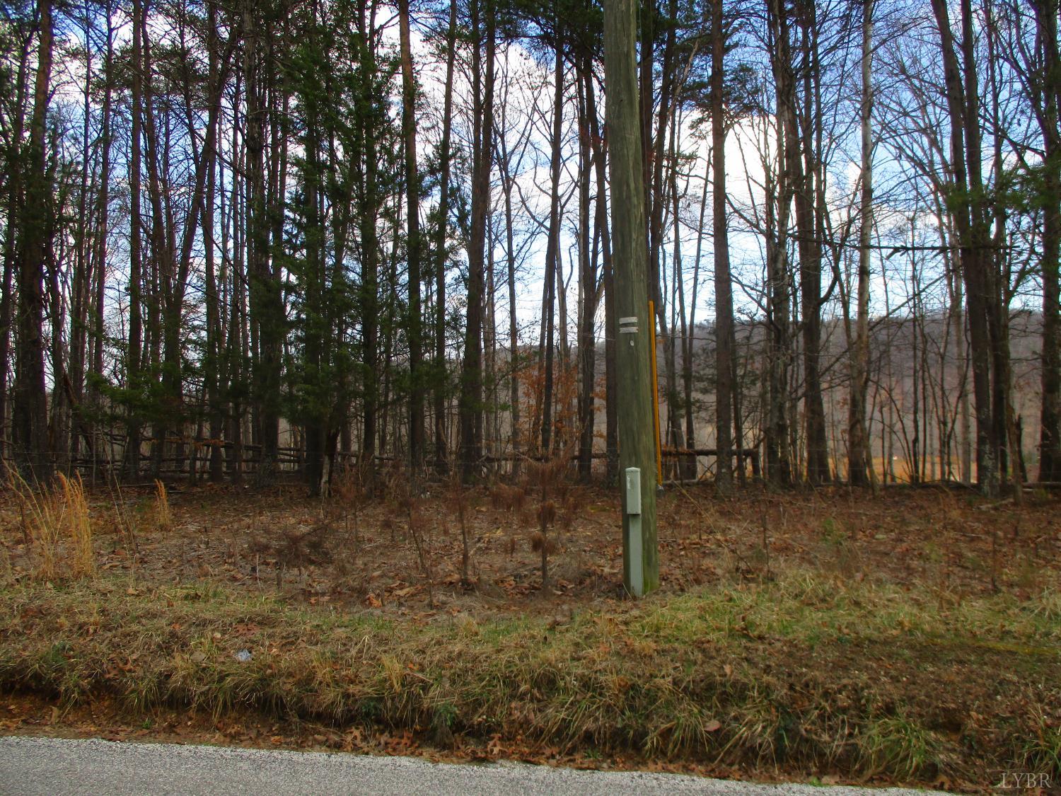 991 Kentmoor Farm Road Madison Heights, VA 24572 - Photo 7 of 17 a backyard of a house with lots of green space