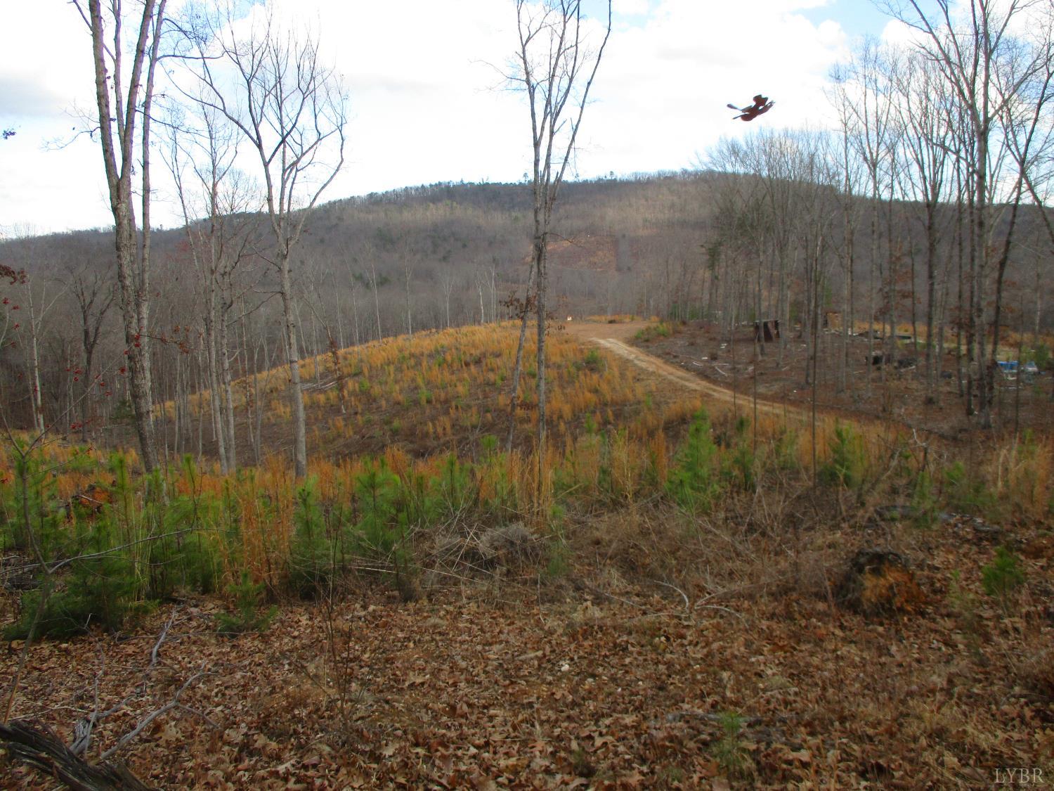 991 Kentmoor Farm Road Madison Heights, VA 24572 - Photo 9 of 17 a view of a backyard