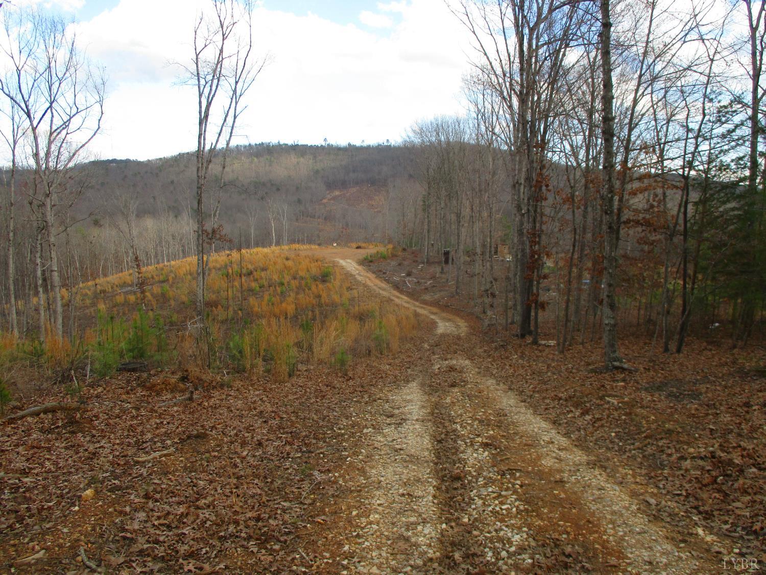 991 Kentmoor Farm Road Madison Heights, VA 24572 - Photo 10 of 17 a view of a backyard