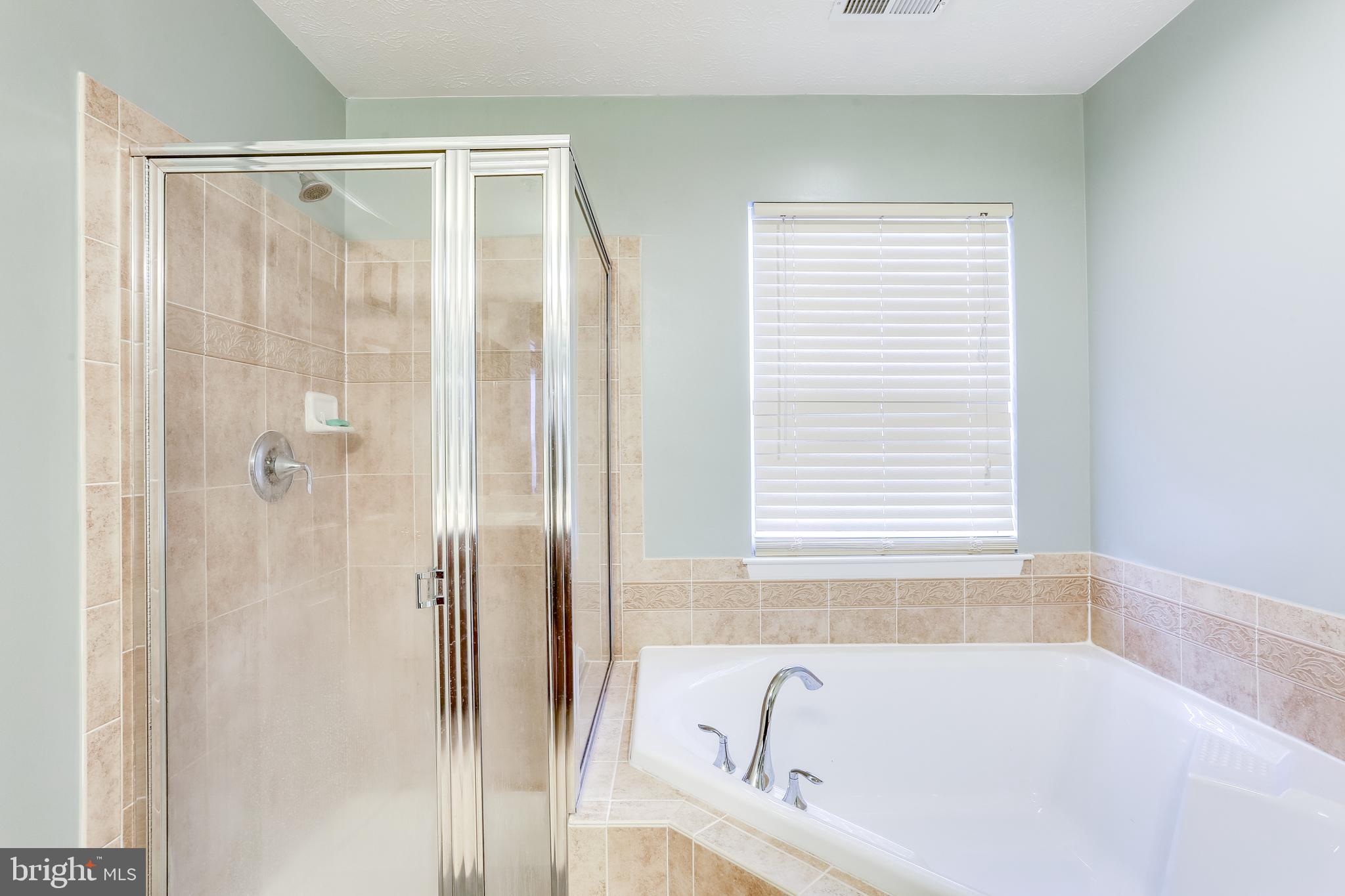 9615 Davison Road Baltimore, MD 21220 - Photo 3 of 35 Master Bath