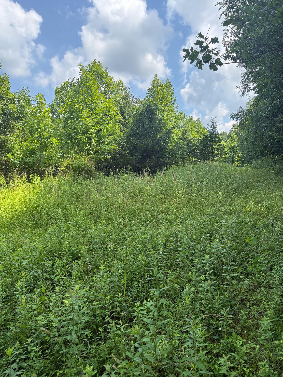 501 Tracey Road Hanover, PA 17331 - Photo 2 of 8