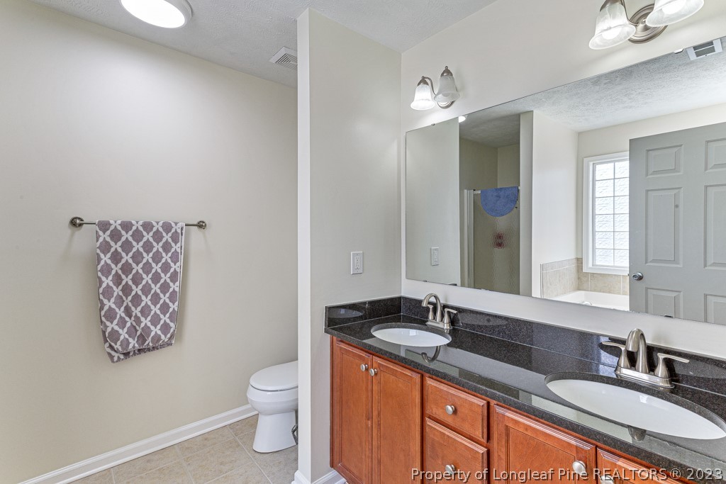 117 Ridgeview Drive Raeford, NC 28376 - Photo 19 of 31 a bathroom with a granite countertop double vanity sink a mirror and a toilet