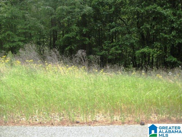 0 Sulphur Springs Road, Unit 10 ACRES Lincoln, AL 35096 - Photo 27 of 32
