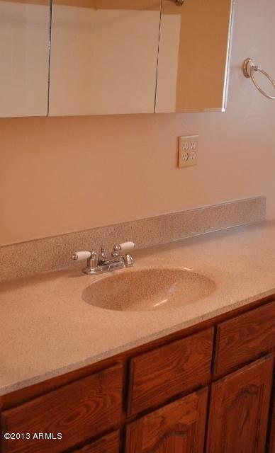 2333 West Cheery Lynn Road Phoenix, AZ 85015 - Photo 12 of 17 bathroom1