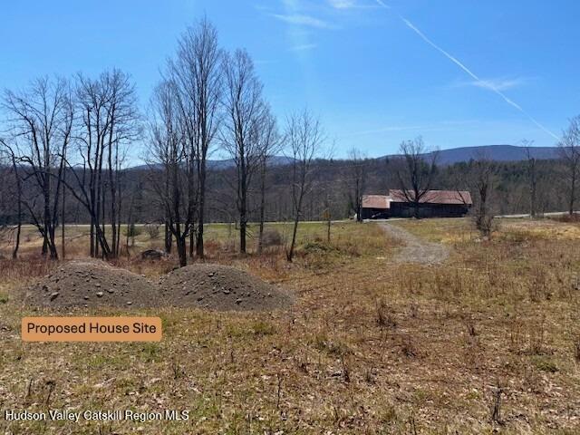 172 Hank Oliver Road Prattsville, NY 12468 - Photo 18 of 27 a view of a backyard with trees