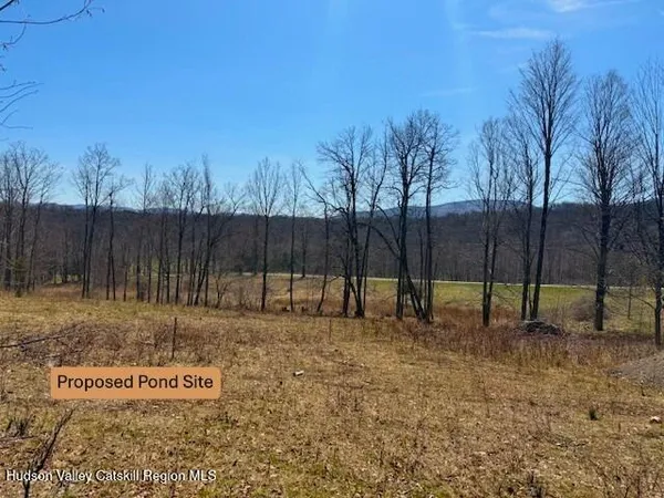 $1,199,000 | 172 Hank Oliver Road, Prattsville, NY 12468