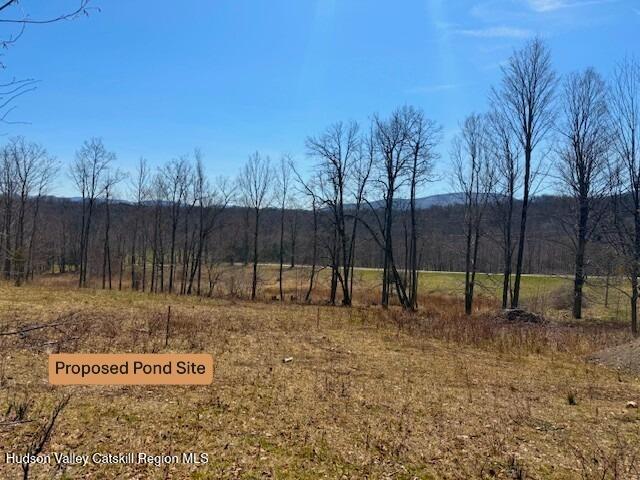 172 Hank Oliver Road Prattsville, NY 12468 - Photo 22 of 30 Tait proposed pond site