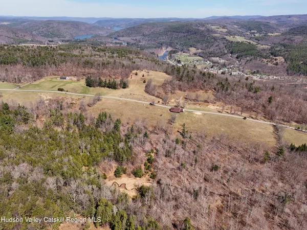 $1,199,000 | 172 Hank Oliver Road, Prattsville, NY 12468