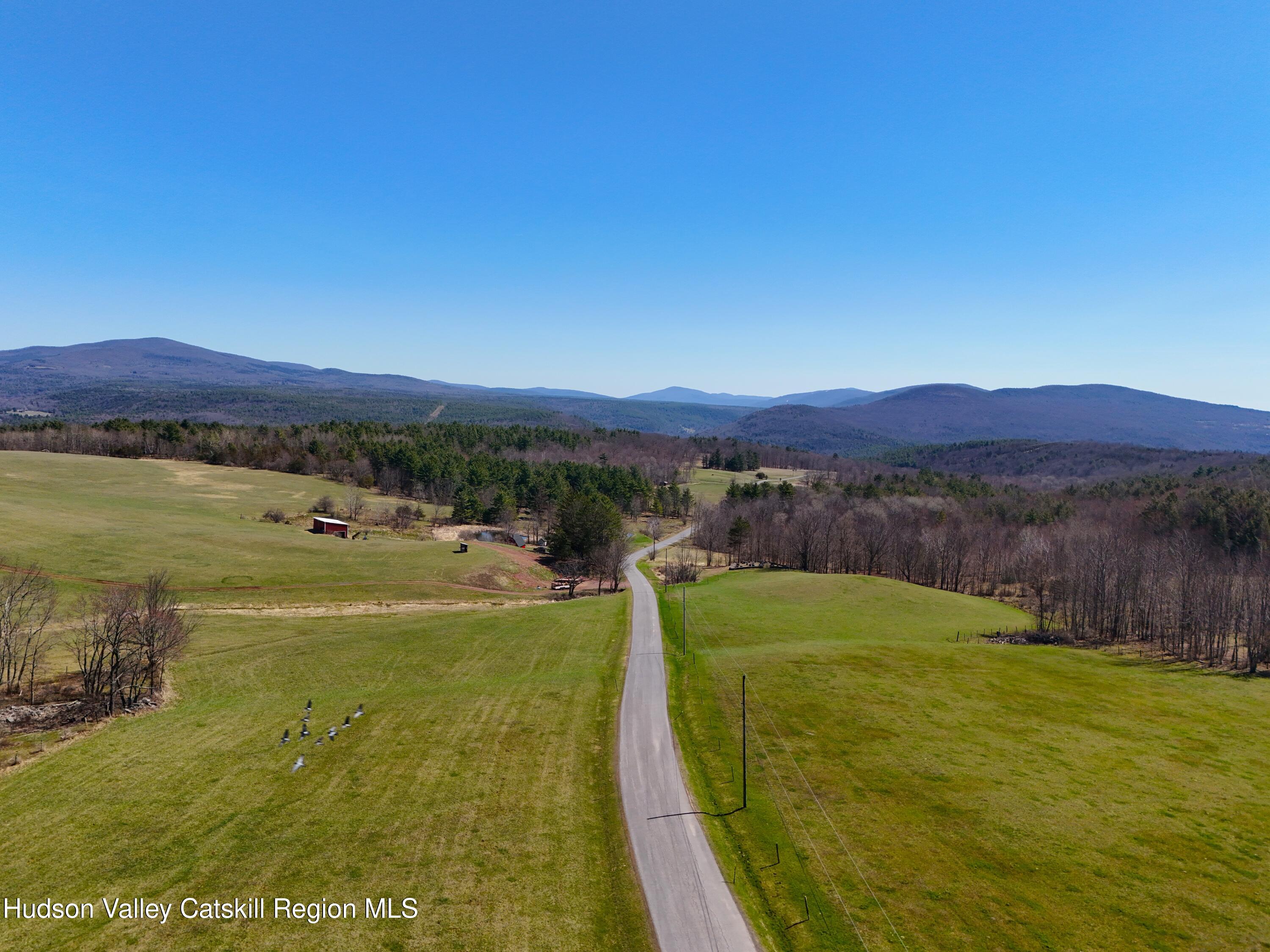 172 Hank Oliver Road Prattsville, NY 12468 - Photo 27 of 30 DJI_20250122131645_0004_D