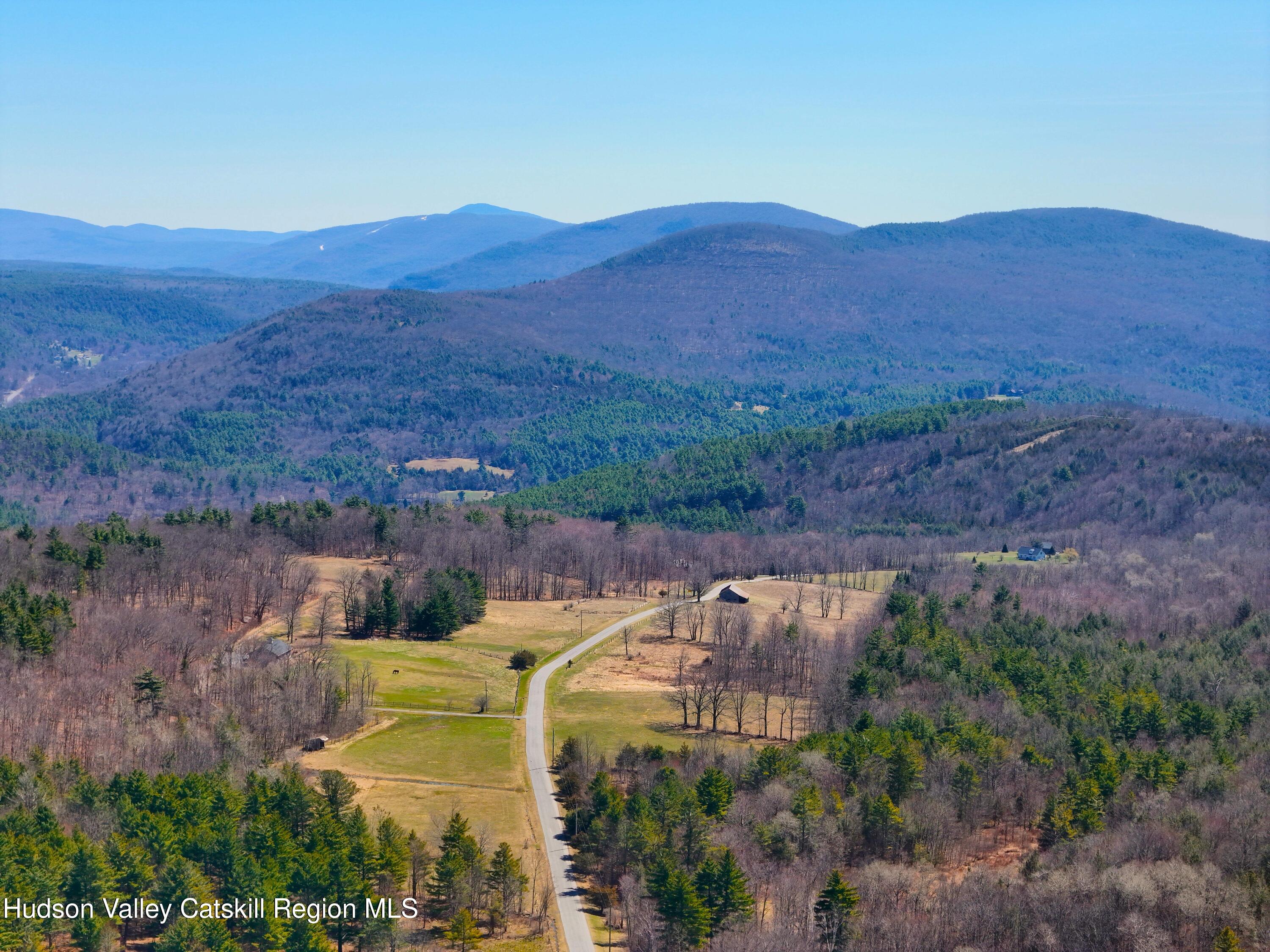 172 Hank Oliver Road Prattsville, NY 12468 - Photo 28 of 30 Tait Hank Oliver 1