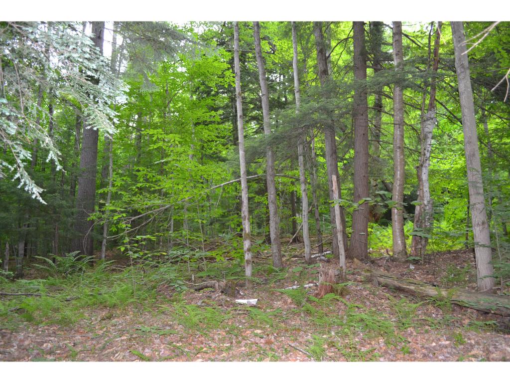0 Notch Road Middlesex, VT 05602 - Photo 1 of 6