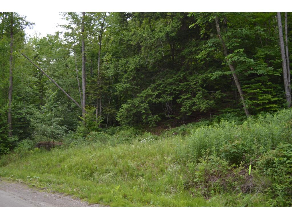0 Notch Road Middlesex, VT 05602 - Photo 4 of 6