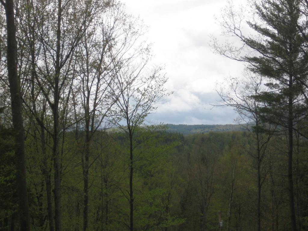 0 Notch Road Middlesex, VT 05602 - Photo 5 of 6