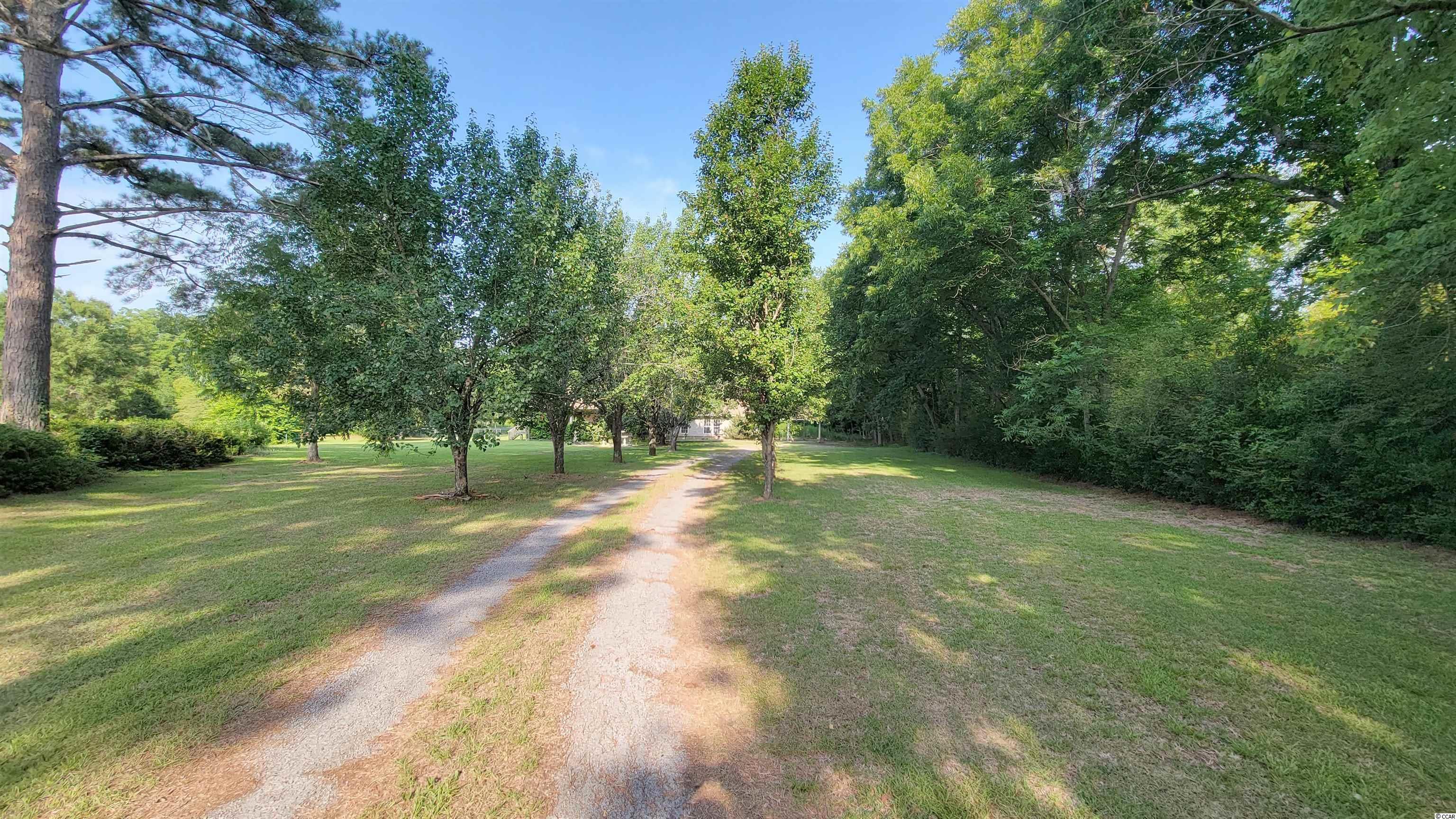 2429 1st Loop Road Fork, SC 29543 - Photo 19 of 19 Gallery Image 19