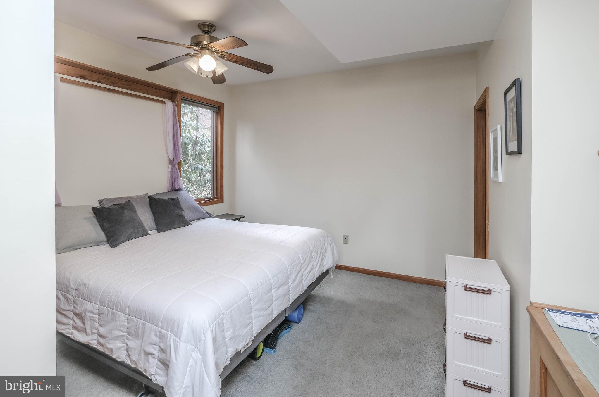 642 Paddys Run Road Star Tannery, VA 22654 - Photo 45 of 79