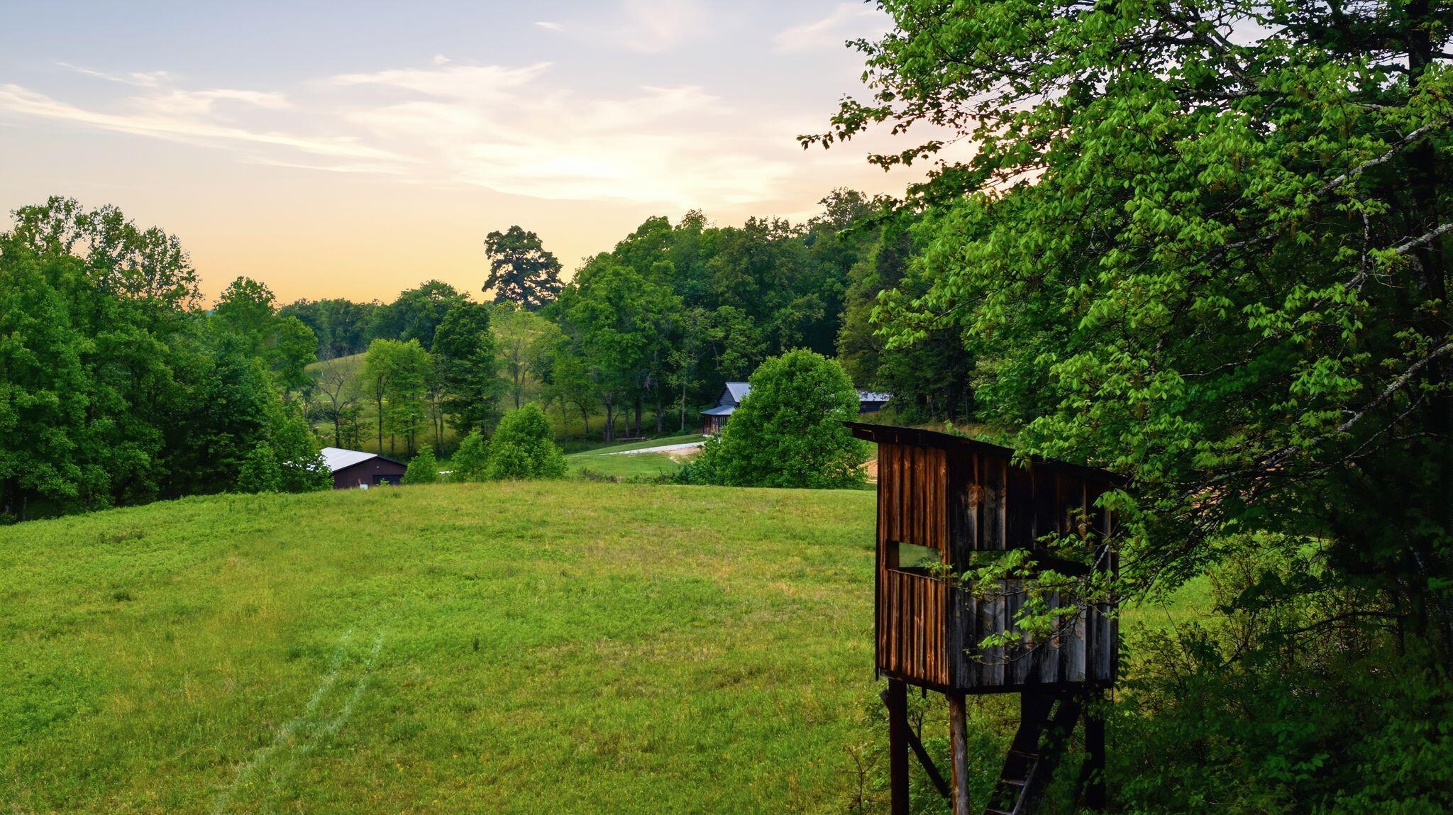223 Hollin Road Tyner, KY 40486 - Photo 45 of 59 12_012_DJI_20260505174733_0220_D