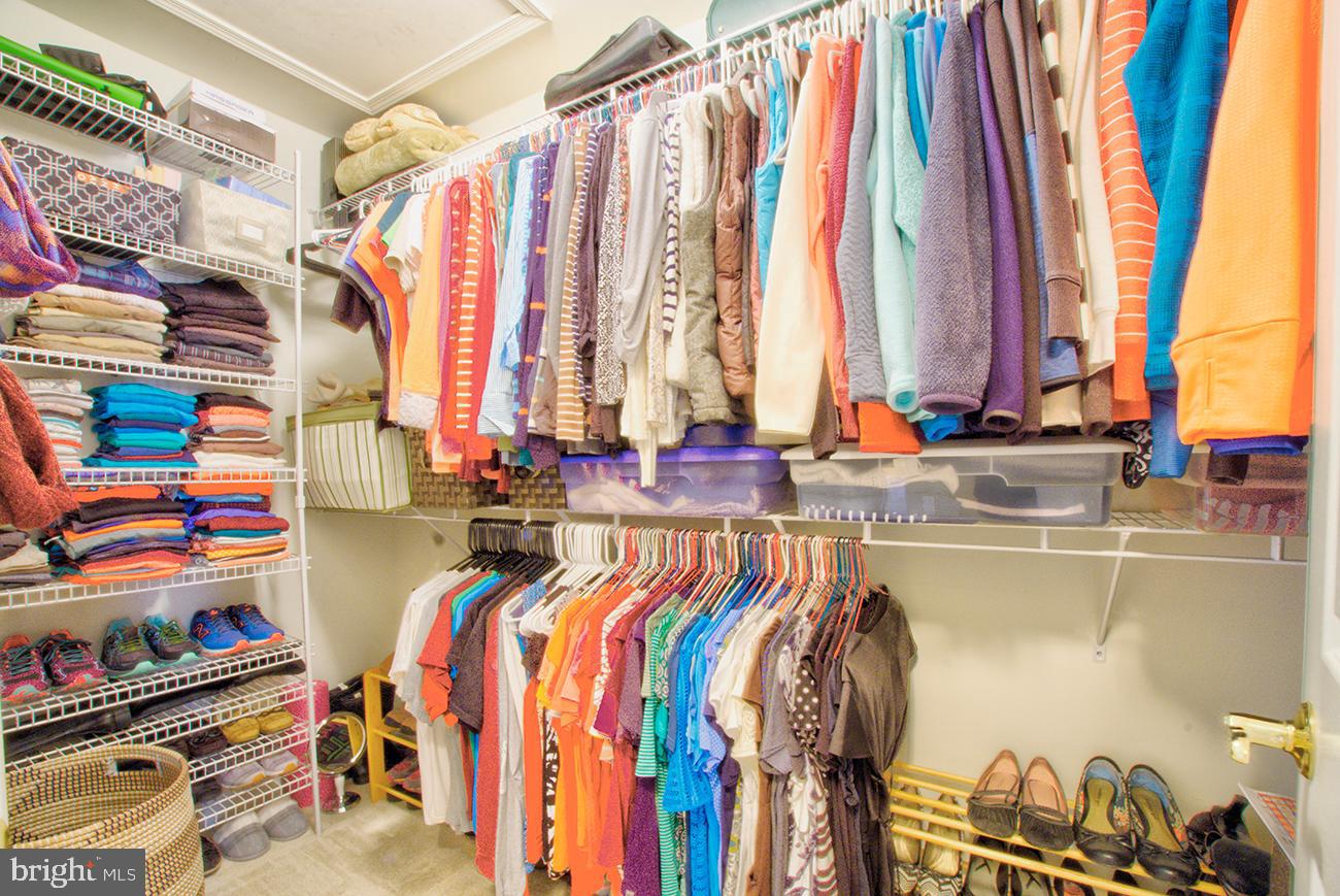 816 Shadebrush Ridge Road West Chester, PA 19382 - Photo 30 of 44 a view of walk in closet with clothes and shoes