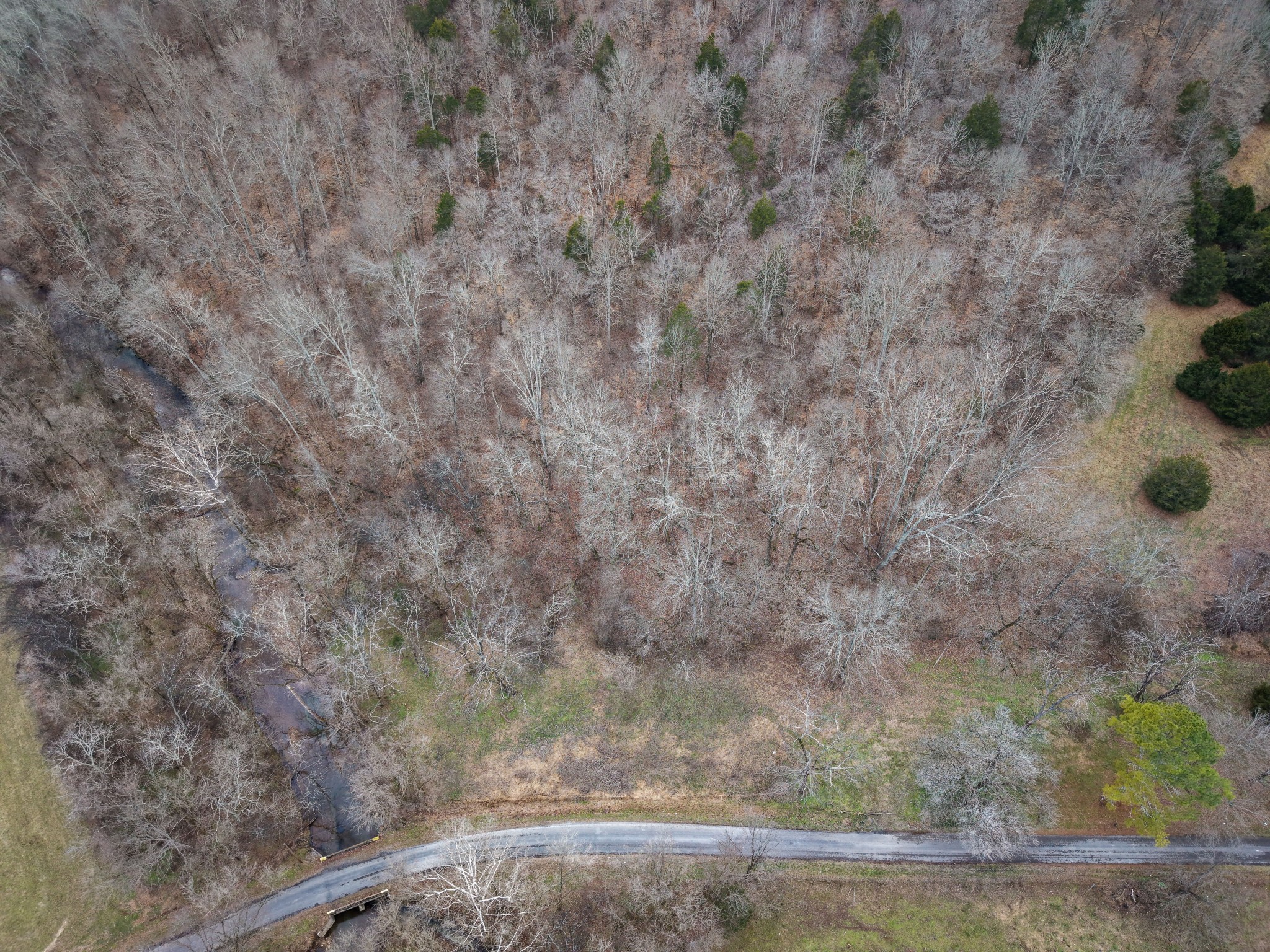 0 Rock Springs Road Ethridge, TN 38456 - Photo 16 of 22