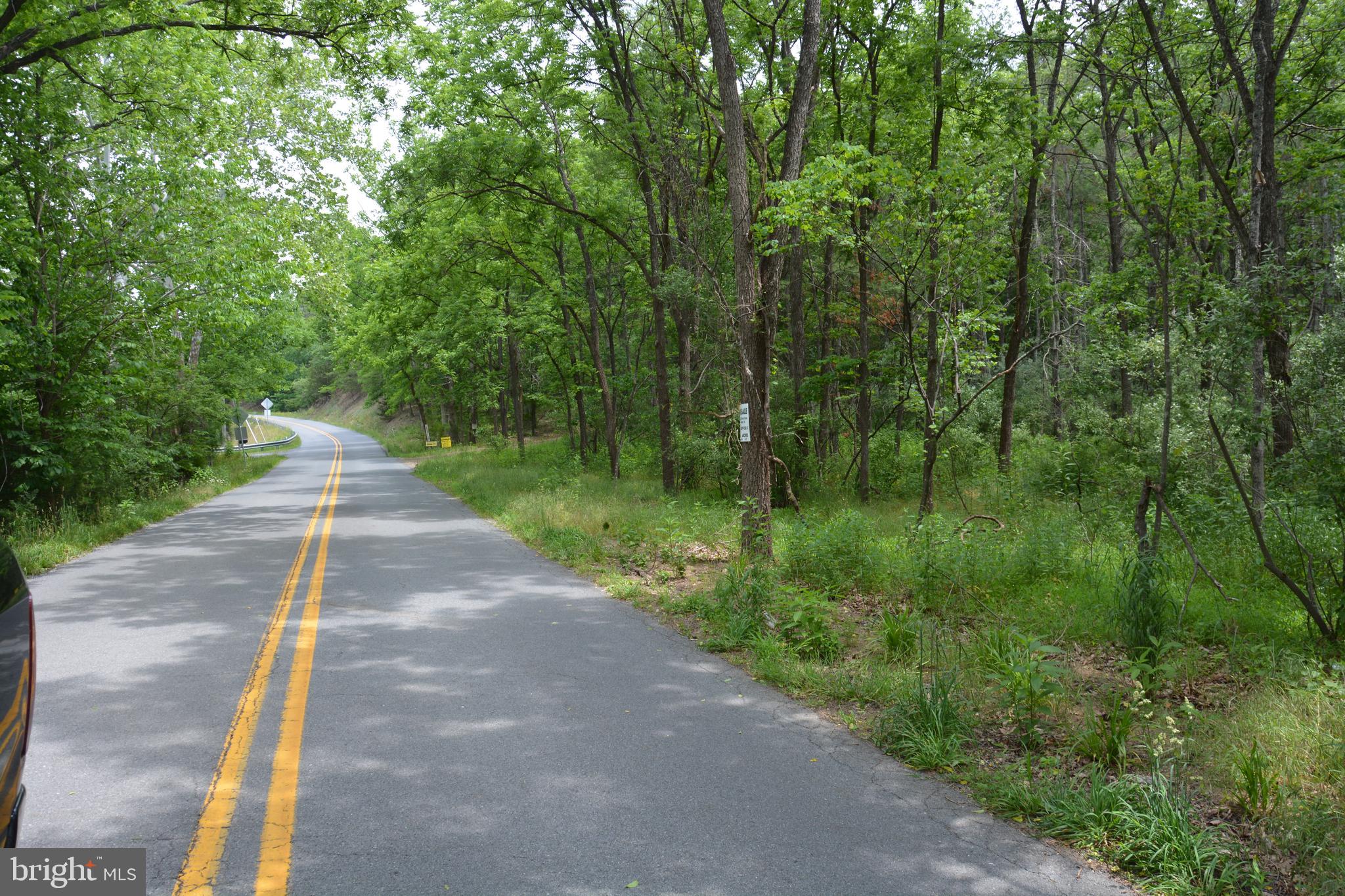 Two Lots On Siler Road Winchester, VA 22603 - Photo 38 of 38 a view of a street with a trees