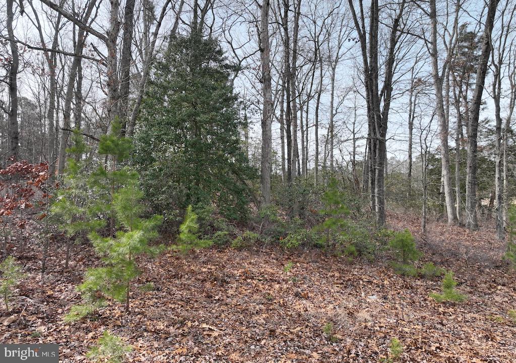 501 Telegraph Road Bridgeton, NJ 08302 - Photo 23 of 53
