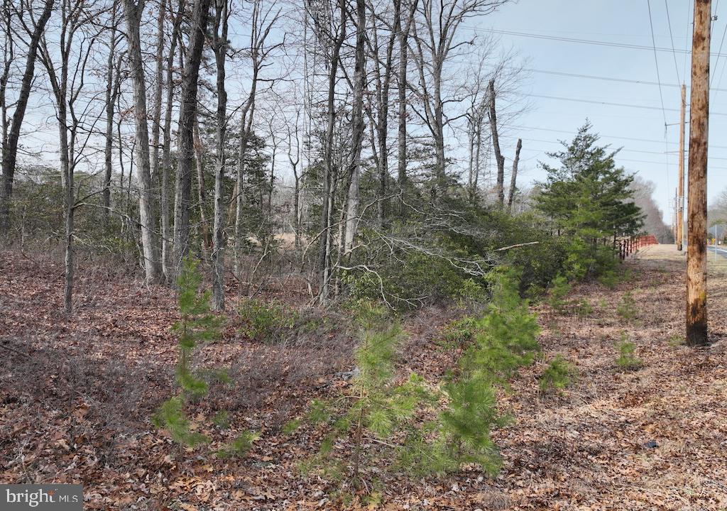 501 Telegraph Road Bridgeton, NJ 08302 - Photo 25 of 53
