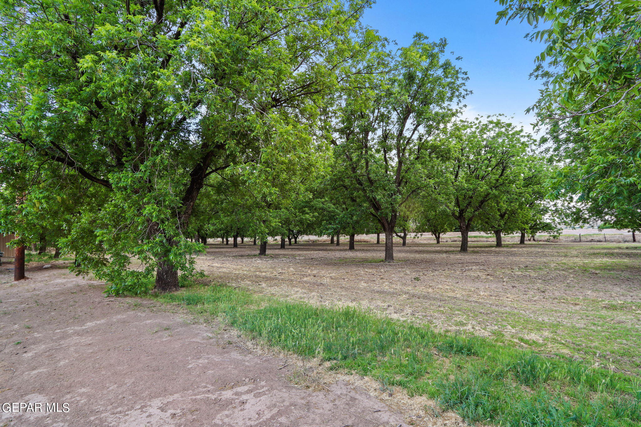 3025-3035 West O'Hara Road Anthony, NM 88021 - Photo 14 of 41 11-web-or-mls-IMG_1301