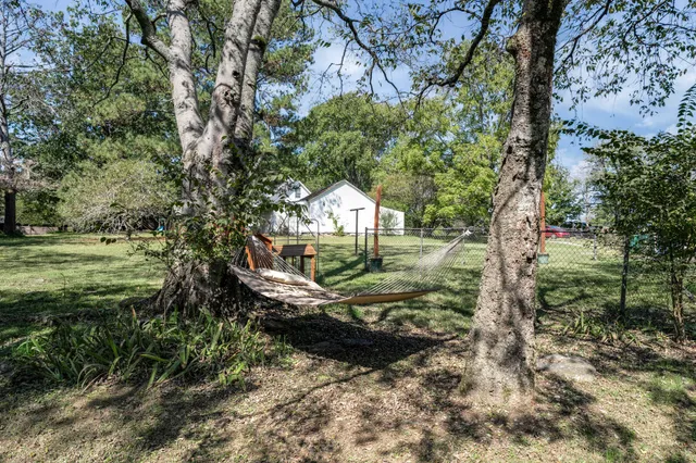a view of a park with large trees