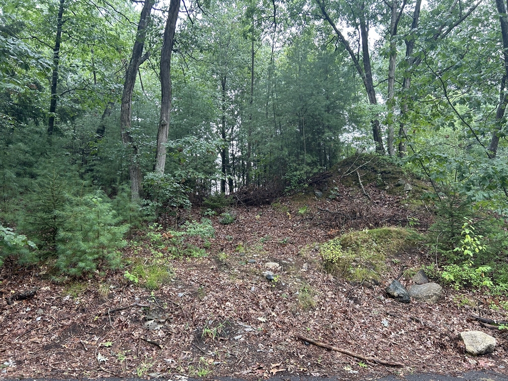 0 Shedd Road North Billerica, MA 01862 - Photo 1 of 3 Gallery Image 1
