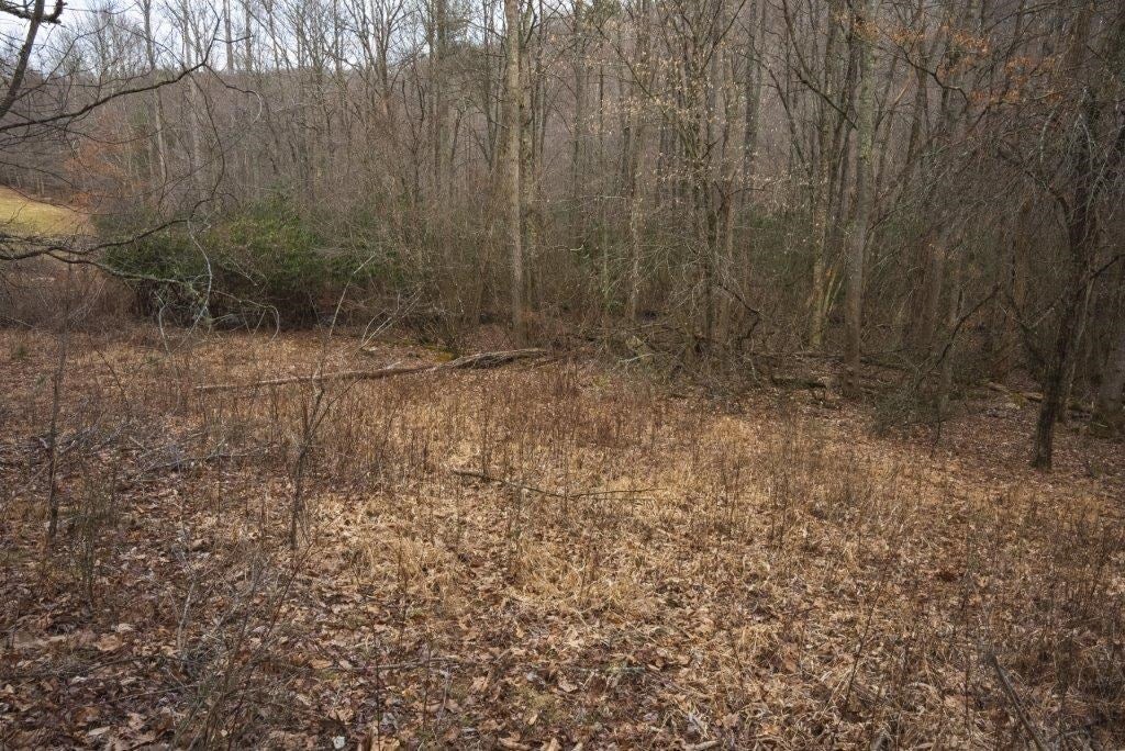 Tbd Long Mountain Road Southwest Willis, VA 24380 - Photo 61 of 66 Gallery Image 61