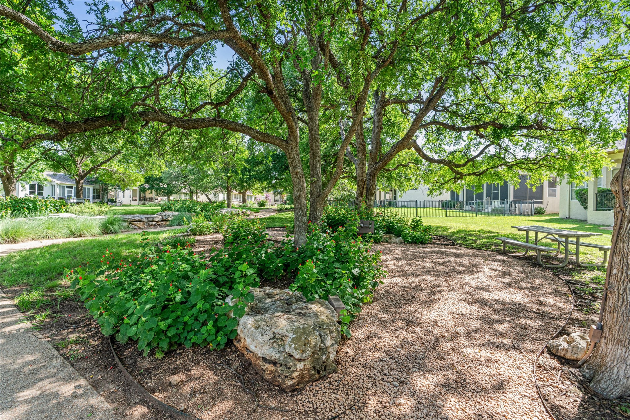 121 Larkspur Lane Georgetown, TX 78633 - Photo 27 of 28 a view of a park with large trees
